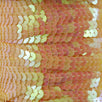 Fantasías Miguel Art.9975 Entorchado Impreso Color Iris 6mm 100m