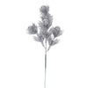 image variant Plata