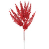 image variant Rojo