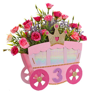 Carroza De Princesa Fiesta De 3 Años