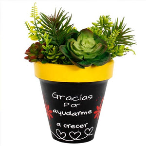 Maceta Con Suculentas