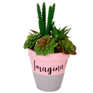 Maceta Con Cactus