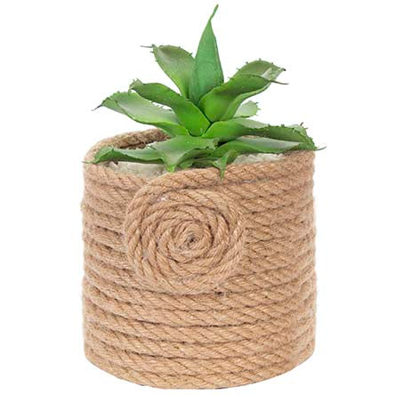 Base Cordón Con Cactus