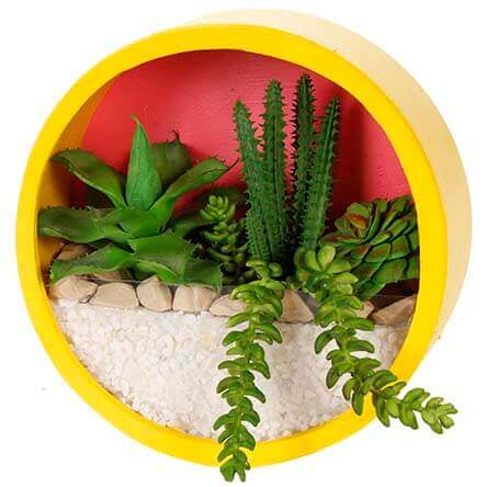 Terrario Redondo Con Cactus