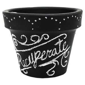 Maceta Recuperate  Pronto