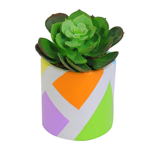 Maceta Con Cactus Multicolor