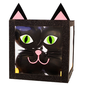 Cubo Con Globos Gato