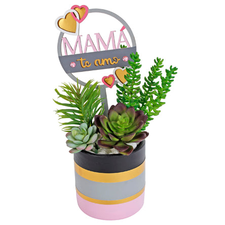 Maceta Con Suculentas