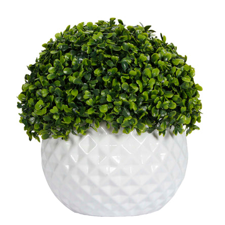 Centro De Mesa Topiario