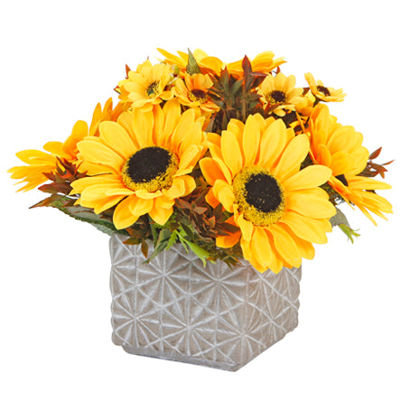 Arreglo De Girasoles En Base De Cemento