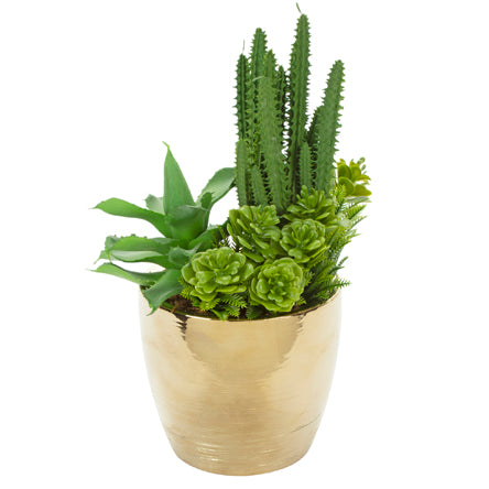 Base Oro Con Suculentas