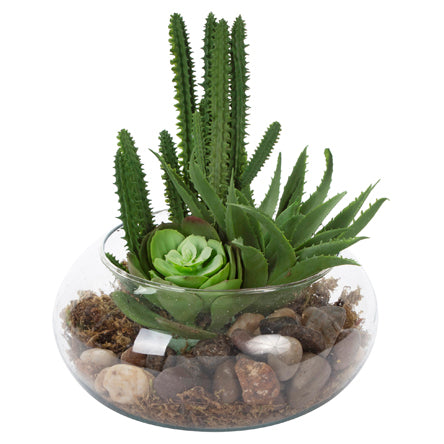 Pecera Con Suculentas