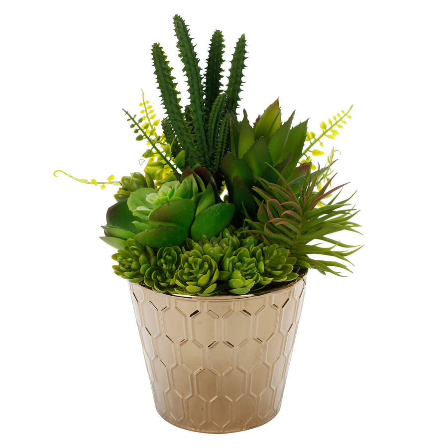 Maceta Oro Geométrica Con Suculentas